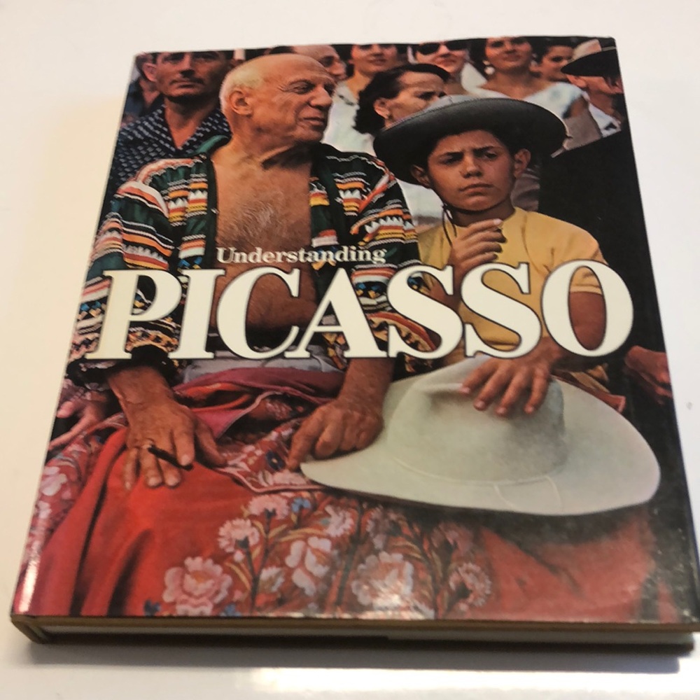 Understanding PICASSO - hardcover book by D. Porzio and M. Valse chi